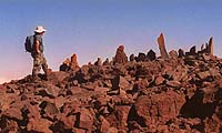 The Sierra Club's Nelson Ho visits a shrine on Mauna Kea.